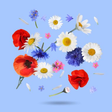 Açık mavi arkaplana düşen güzel çayır çiçekleri