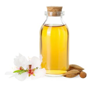 Bir şişe badem yağı, taze fındık ve beyaz üzerine izole edilmiş güzel bir çiçek.
