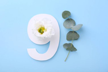 9 numaralı kağıt, güzel çiçek ve okaliptüs dalları açık mavi arkaplan, üst manzara