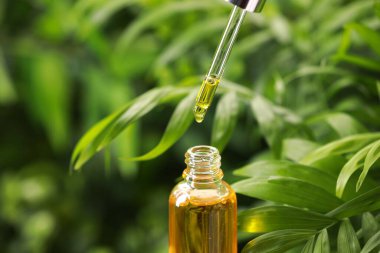 Pipetten dışarıya, şişeye yağ damlatıyorlar, yakın plan.