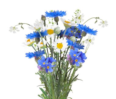 Bir buket güzel çayır çiçeği Beyazlar üzerinde izole edilmiş