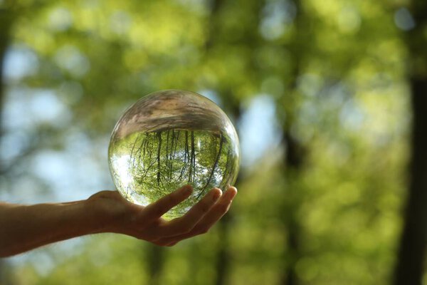 Green trees outdoors, overturned reflection. Man holding crystal ball in forest, closeup. Space for text