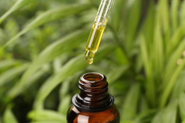 Pipetten dışarıya, şişeye yağ damlatıyorlar, yakın plan.