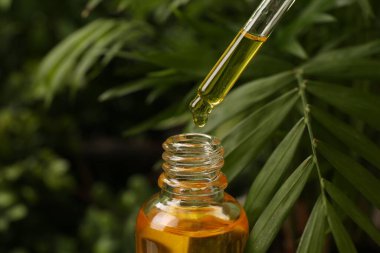 Pipetten dışarıya, şişeye yağ damlatıyorlar, yakın plan.