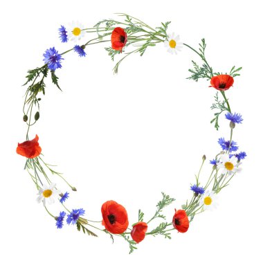 Güzel yabani çiçeklerin çelengi beyazın üzerinde izole edilmiş.