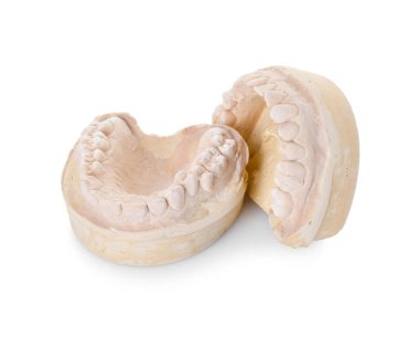 Ağzı beyaza ayrılmış bir diş modeli. Diş kalıpları