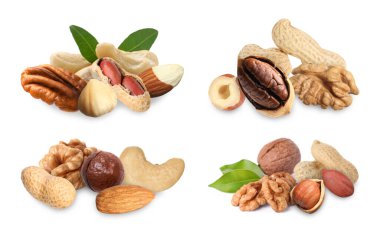 Many different nuts isolated on white, set