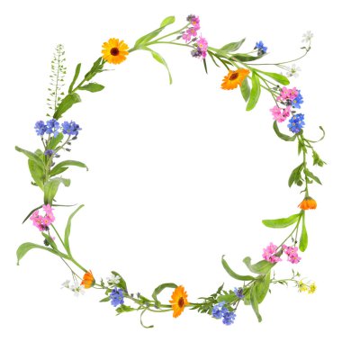 Güzel yabani çiçeklerin çelengi beyazın üzerinde izole edilmiş.