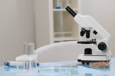 Yemek kalitesi kontrolü. Mikroskop, buğday taneli petri kabı ve açık mavi masada bulunan diğer laboratuvar ekipmanları.