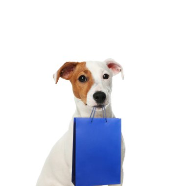 Beyaz arka planda alışveriş çantası olan sevimli bir köpek.