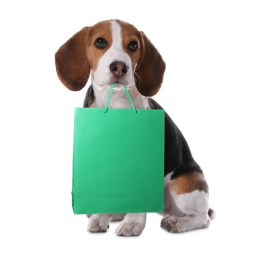 Beyaz arka planda alışveriş çantası olan sevimli bir köpek.