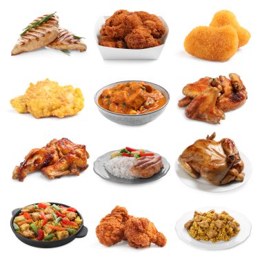 Farklı lezzetli tavuklar beyaz sette izole edilmiş.