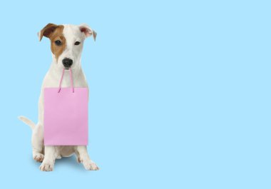 Açık mavi arka planda alışveriş torbası olan sevimli köpek, mesaj için yer