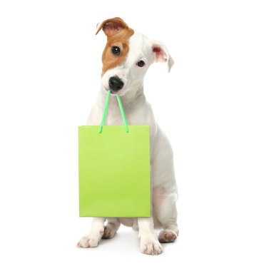 Beyaz arka planda alışveriş çantası olan sevimli bir köpek.