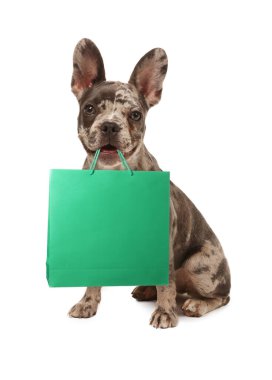 Beyaz arka planda alışveriş çantası olan sevimli bir köpek.