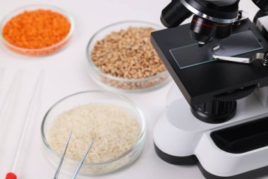 Gıda Kalite Kontrol. Mikroskop, farklı ürünler içeren petri kapları ve beyaz masadaki diğer laboratuvar ekipmanları, yakın plan.