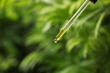 Pipetten gerekli yağı damlatıyor, yakın plan. Metin için boşluk