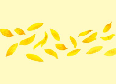 Bej arkaplanda havadaki ayçiçeği yaprakları