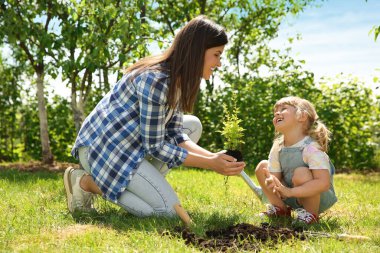 Anne ve kızı bahçede birlikte ağaç dikiyorlar.