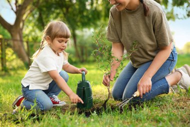Anne ve kızı bahçede birlikte ağaç dikiyorlar.
