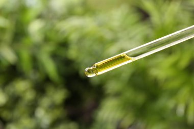 Pipetten gerekli yağı damlatıyor, yakın plan.