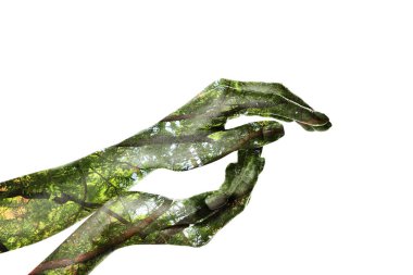 Beyaz arka planda yeşil yapraklı kadın ve ağaç, yakın plan.