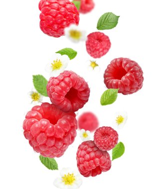 Olgun ahududu ve çiçekler beyaz arka planda