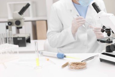 Quality control. Food inspector working in laboratory, selective focus