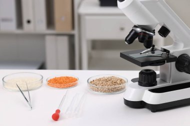 Gıda Kalite Kontrol. Mikroskop, farklı ürünlerle dolu petri kapları ve beyaz masadaki diğer laboratuvar ekipmanları.