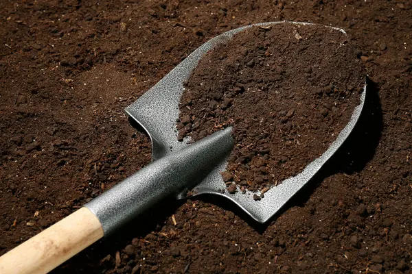 Verimli topraklarda metal kürek. Bahçe aleti