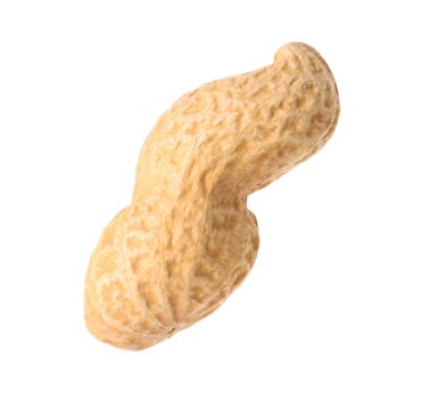 Taze soyulmamış bir fıstık beyazda izole edilmiş.