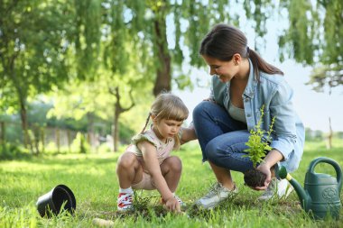 Anne ve kızı bahçede birlikte ağaç dikiyorlar.