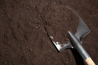Verimli topraklarda metal kürek, üst manzara ve metin için yer. Bahçe aleti
