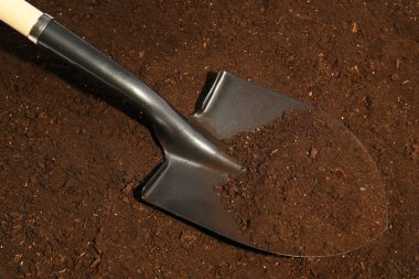 Verimli topraklarda metal kürek. Bahçe aleti
