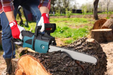 Man sawing wooden log on sunny day, closeup