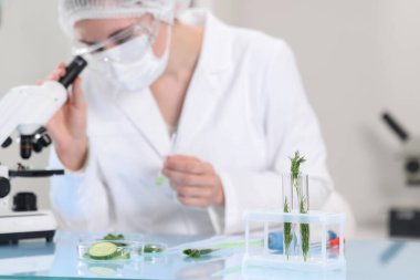 Kalite kontrolü. Gıda müfettişi ürünlerin güvenliğini laboratuarda kontrol ediyor, seçici odaklanma