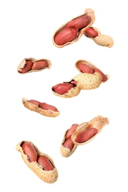 Many peanuts in air on white background