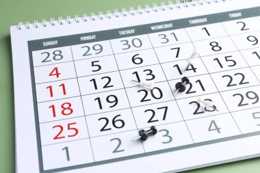 Zaman çizelgesi. Yeşil arkaplanda takvim ve çizim broşları