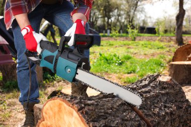 Man sawing wooden log on sunny day, closeup