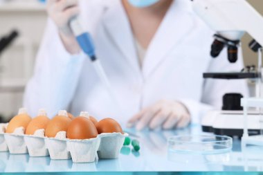 Kalite kontrolü. Laboratuvarda çalışan gıda müfettişi, yumurtalara odaklan.