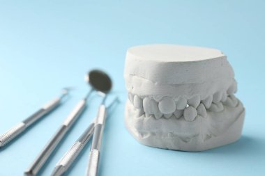 Açık mavi arka planda diş eti ve dişçi aletleri olan bir diş modeli. Diş kalıpları