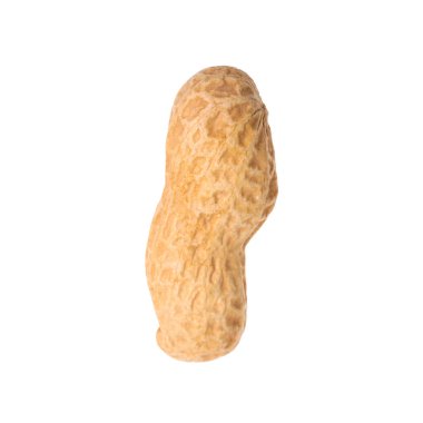 Taze soyulmamış bir fıstık beyazda izole edilmiş.