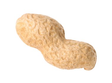 Taze soyulmamış bir fıstık beyazda izole edilmiş.