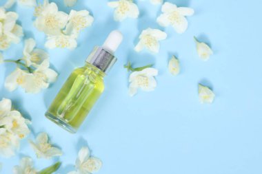 Temel yağ şişede ve yasemin çiçekleri açık mavi arka planda, düz yerde. Metin için boşluk