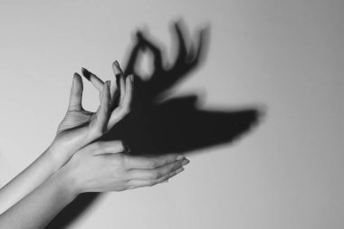 Gölge kuklası. Kadın, hafif arka planda geyik gibi el hareketi yapıyor, mesaj için yere yakın çekim yapıyor. Siyah ve beyaz etkisi