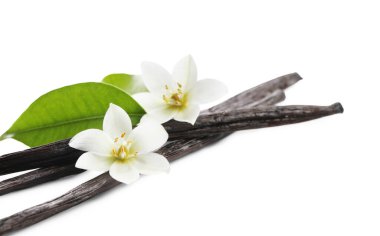 Vanilya kabukları, yeşil yapraklar ve çiçekler beyaz üzerine izole edilmiş.
