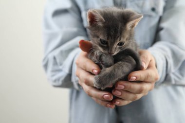 Gri arka planda sevimli tüylü kedi yavrusu olan kadın, yakın plan.