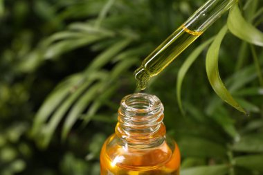 Pipetten dışarıya, şişeye yağ damlatıyorlar, yakın plan.