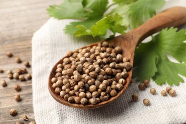 Kurumuş kişniş tohumlu kaşık ve ahşap masada yeşil yapraklar, yakın plan.