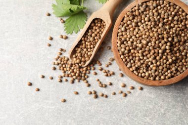 Kase içinde kurumuş kişniş tohumları, kepçe ve yeşil yaprak açık gri desenli masa, düz yatıyordu.